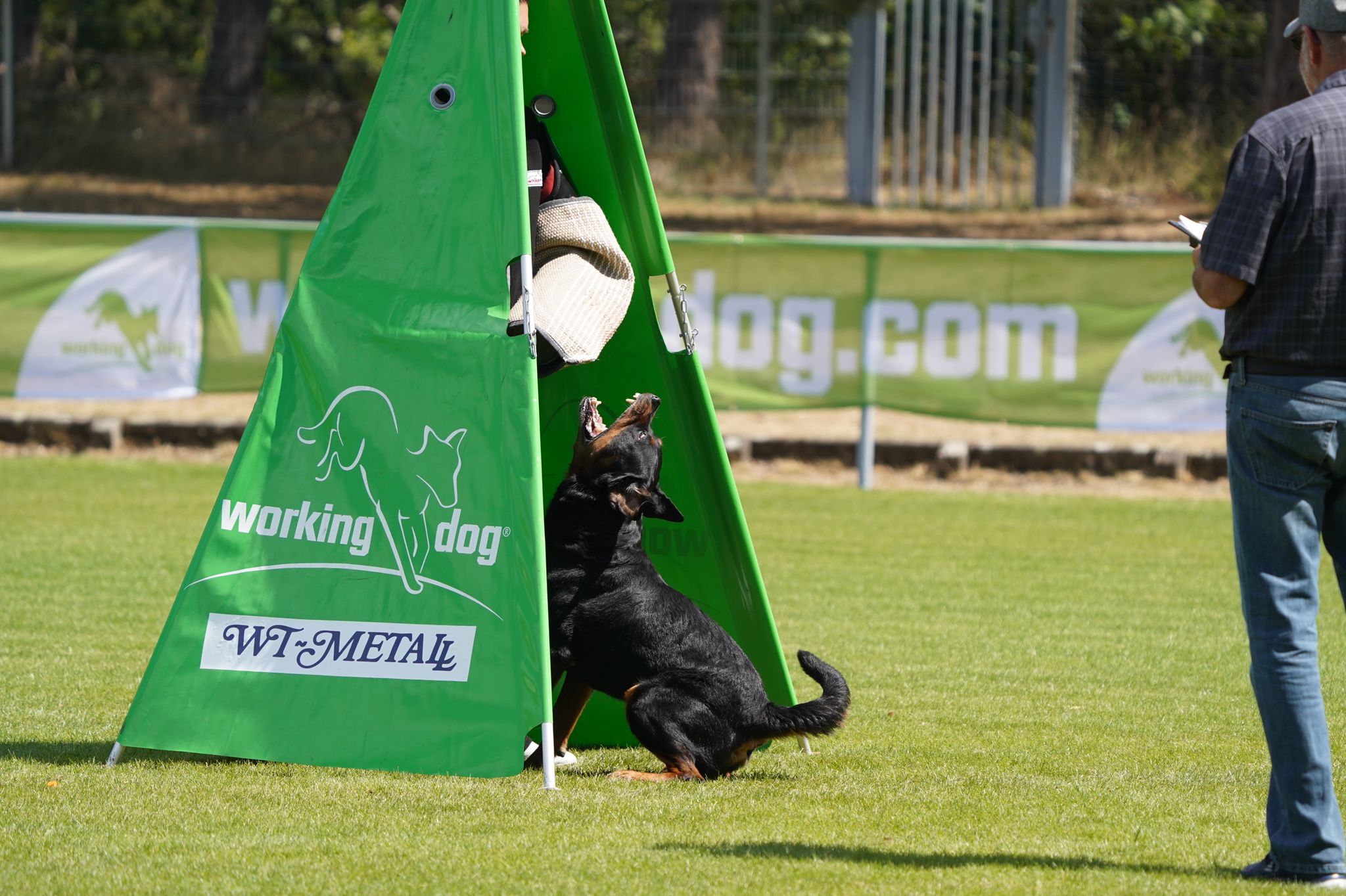 32a972c8-2ef2-4a4c-9973-8fb66d22e2a6