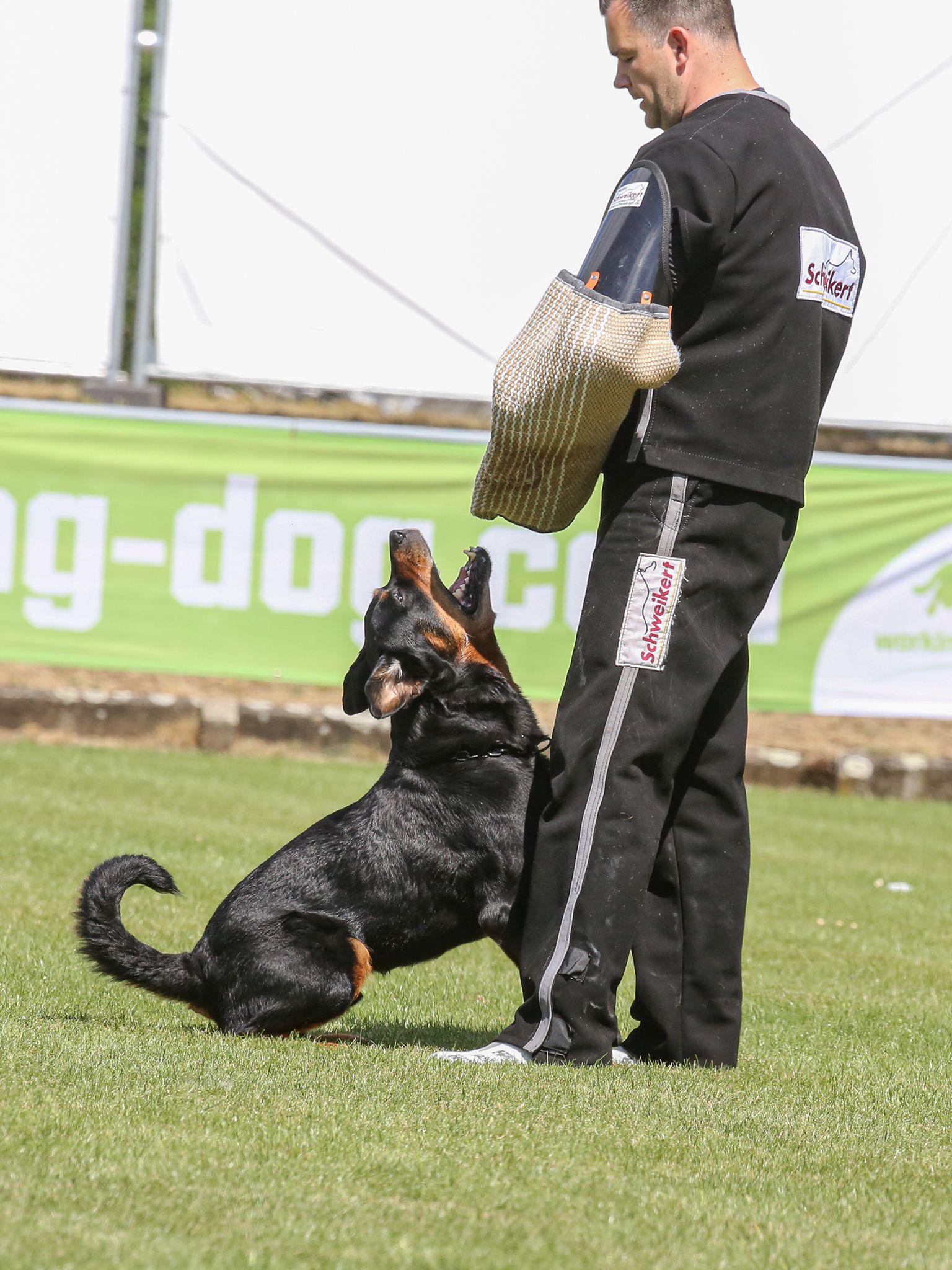 477a7d61-7b50-488e-9638-8738c5db0298