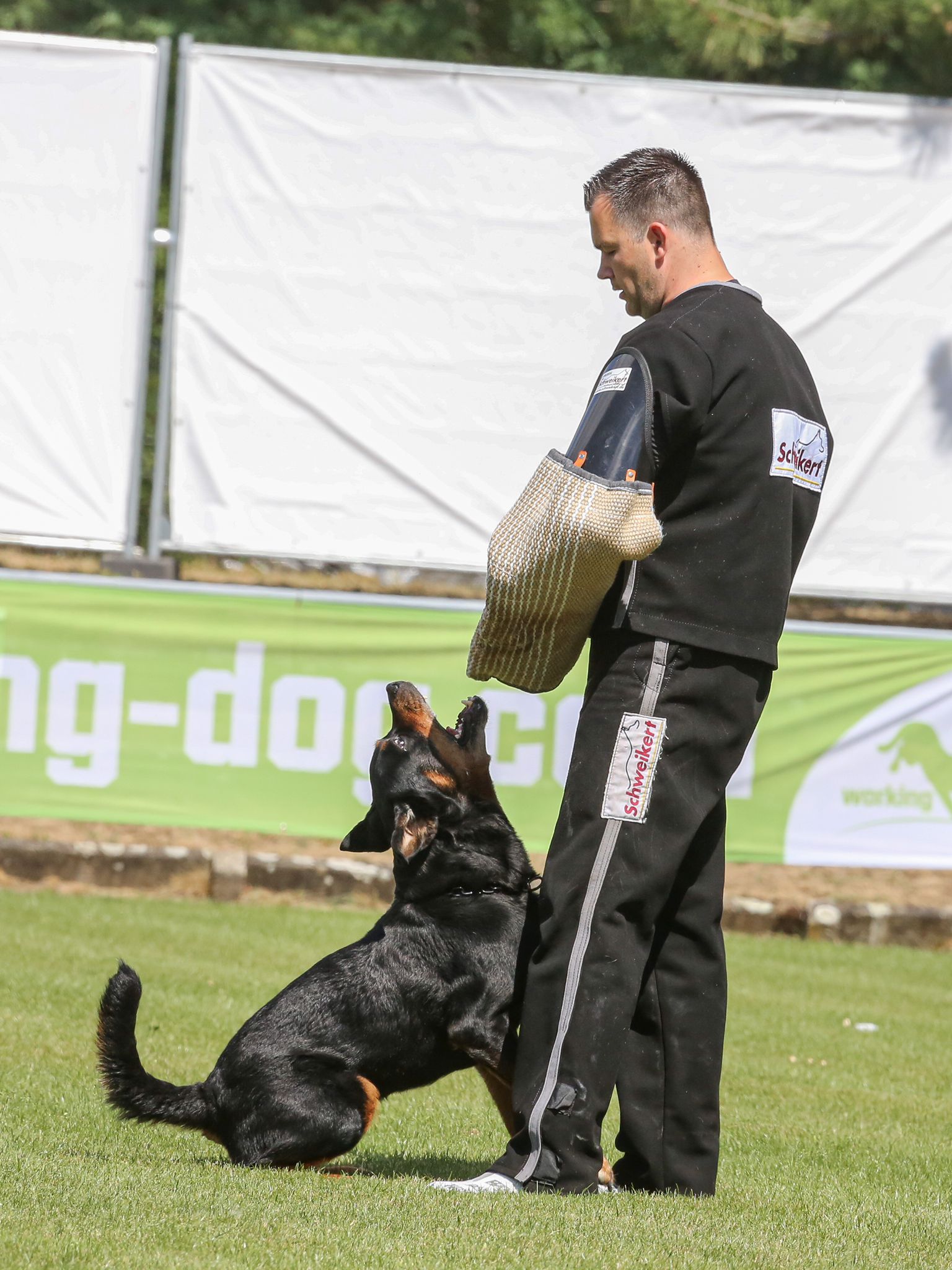 67852c8c-d67f-4f60-95df-217e1c2a9749