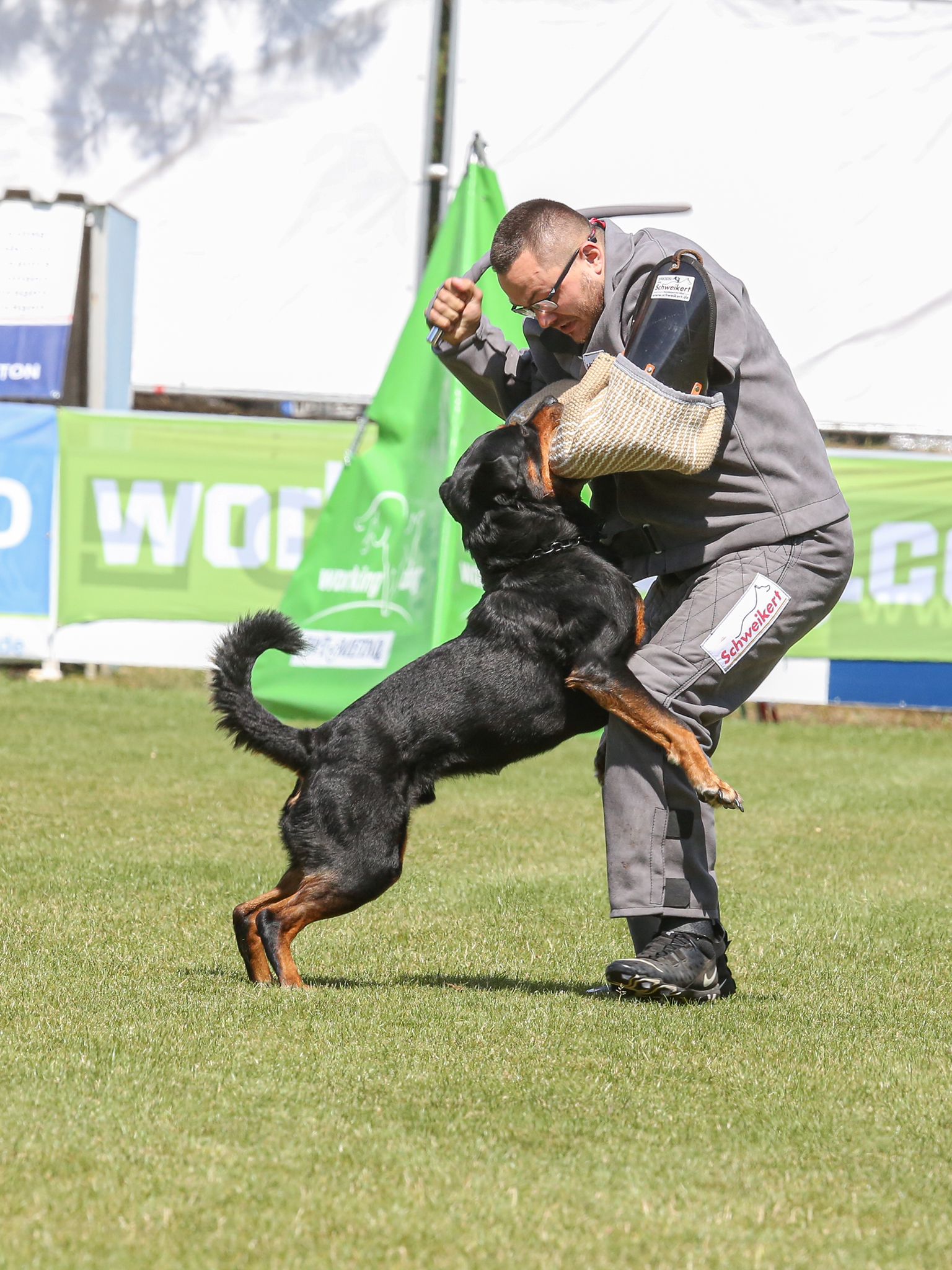 ba24173b-5e4e-48d9-b765-ebbcd4c87354