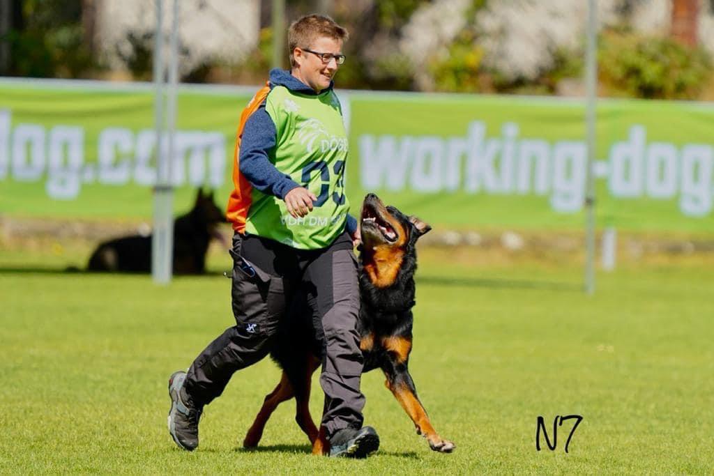 dfec9247-378e-478a-8950-3a135add9aaa